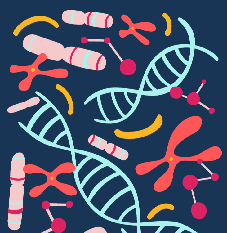 NBCF_Illustration_CellsDNA (1)