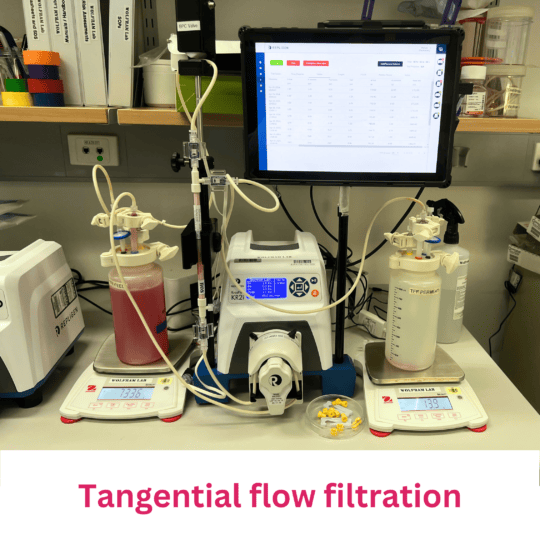 Tangential flow filtration