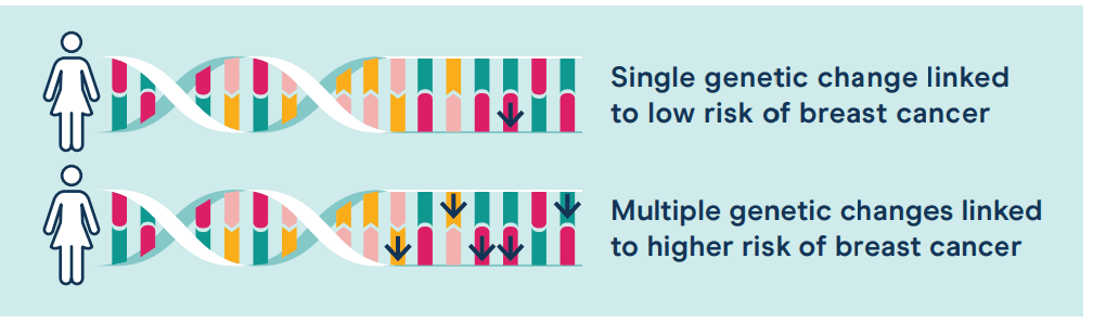 diagram explaining polygenic risk score