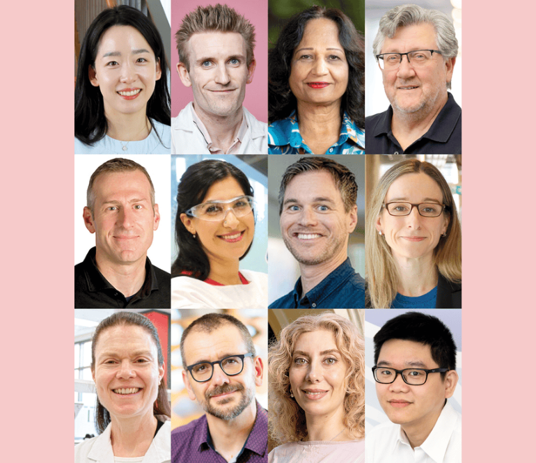 Collage of NBCF funded researcher
